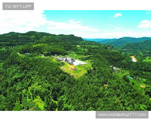 hb电子在环保节能方面的技术突破与绿色发展路径探索 hb电子在环保节能方面的技术突破与绿色发展路径探索