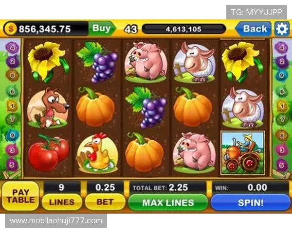 老虎机平台官网多样化的游戏类型,满足不同玩家的娱乐需求和偏好 老虎机平台官网多样化的游戏类型,满足不同玩家的娱乐需求和偏好